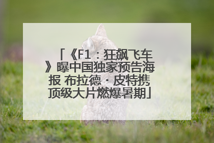 《F1：狂飙飞车》曝中国独家预告海报 布拉德・皮特携顶级大片燃爆暑期