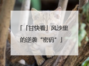 「甘快看」风沙里的逆袭“密码”