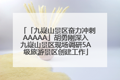 「九嶷山景区奋力冲刺AAAAA」胡勇刚深入九嶷山景区现场调研5A级旅游景区创建工作