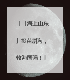 「海上山东」投苗耕海，牧海图强！