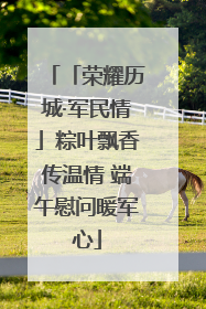 「荣耀历城·军民情」粽叶飘香传温情 端午慰问暖军心