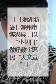 「蒲湖新语」滨州市博兴县：以“小切口”做好数字惠民“大文章”