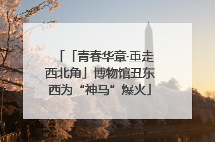 「青春华章·重走西北角」博物馆丑东西为“神马”爆火