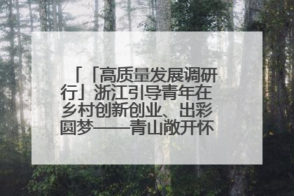 「高质量发展调研行」浙江引导青年在乡村创新创业、出彩圆梦——青山敞开怀 青年入乡来