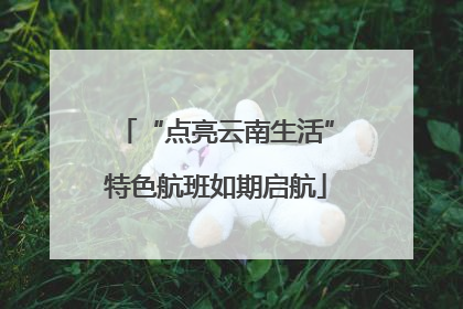 “点亮云南生活”特色航班如期启航