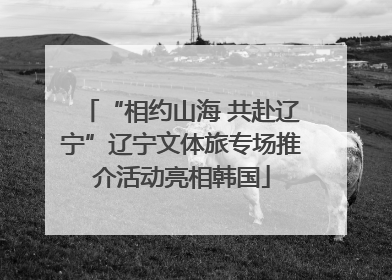 “相约山海 共赴辽宁”辽宁文体旅专场推介活动亮相韩国