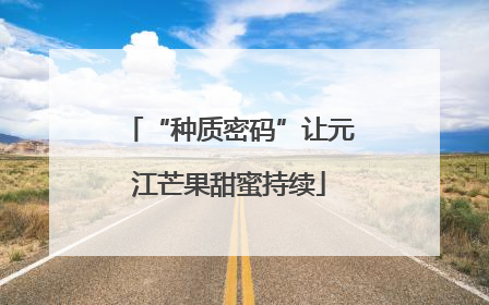 “种质密码”让元江芒果甜蜜持续