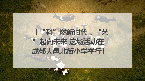 “科”燃新时代，“艺”起向未来 这场活动在成都大邑北街小学举行