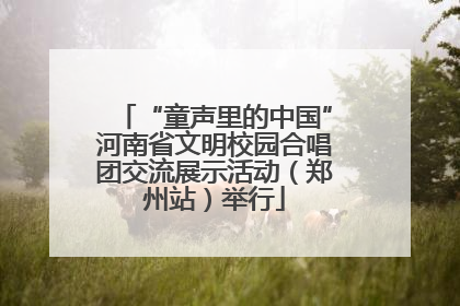 “童声里的中国”河南省文明校园合唱团交流展示活动（郑州站）举行