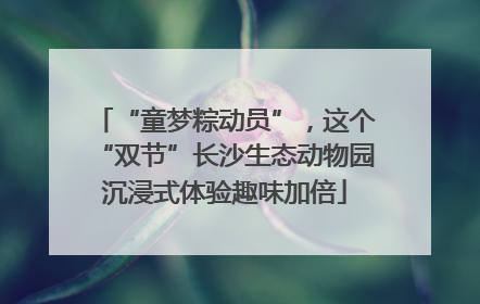 “童梦粽动员”，这个“双节”长沙生态动物园沉浸式体验趣味加倍