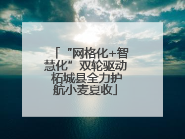 “网格化+智慧化”双轮驱动 柘城县全力护航小麦夏收