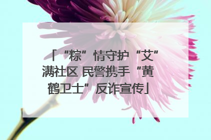 “粽”情守护“艾”满社区 民警携手“黄鹤卫士”反诈宣传