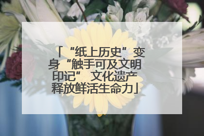 “纸上历史”变身“触手可及文明印记” 文化遗产释放鲜活生命力