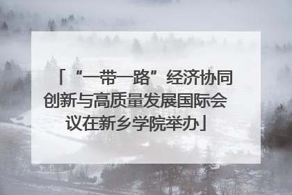 “一带一路”经济协同创新与高质量发展国际会议在新乡学院举办