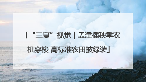 “三夏”视觉｜孟津插秧季农机穿梭 高标准农田披绿装