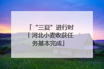 “三夏”进行时丨河北小麦收获任务基本完成