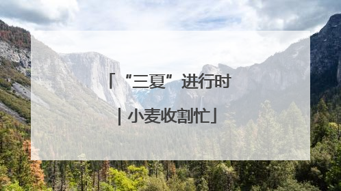 “三夏”进行时｜小麦收割忙