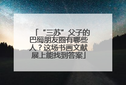 “三苏”父子的巴蜀朋友圈有哪些人？这场书画文献展上能找到答案
