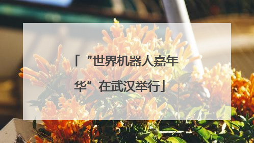 “世界机器人嘉年华”在武汉举行