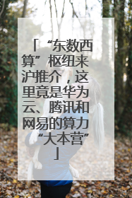 “东数西算”枢纽来沪推介，这里竟是华为云、腾讯和网易的算力“大本营”
