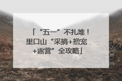 “五一”不扎堆！里口山“采摘+撸宠+露营”全攻略
