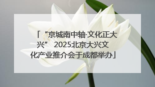 “京城南中轴·文化正大兴” 2025北京大兴文化产业推介会于成都举办
