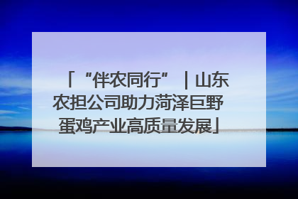 “伴农同行”｜山东农担公司助力菏泽巨野蛋鸡产业高质量发展