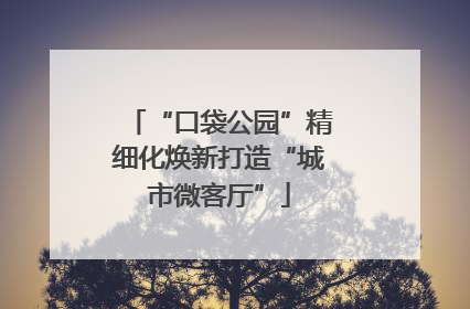 “口袋公园”精细化焕新打造“城市微客厅”