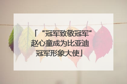 “冠军致敬冠军” 赵心童成为比亚迪冠军形象大使