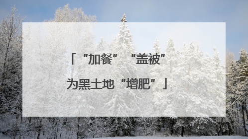 “加餐”“盖被” 为黑土地“增肥”