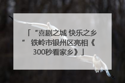 “喜剧之城 快乐之乡” 铁岭市银州区亮相《300秒看家乡》