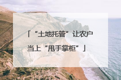 “土地托管”让农户当上“甩手掌柜”