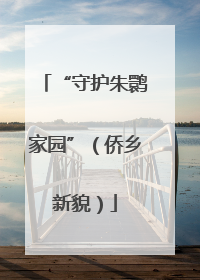 “守护朱鹮家园”（侨乡新貌）