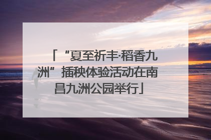 “夏至祈丰·稻香九洲”插秧体验活动在南昌九洲公园举行