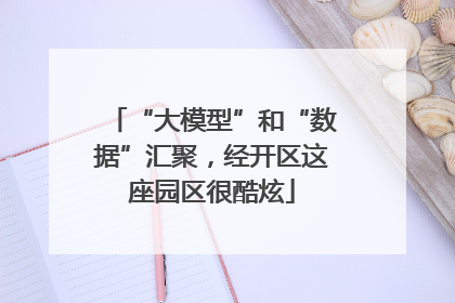 “大模型”和“数据”汇聚，经开区这座园区很酷炫