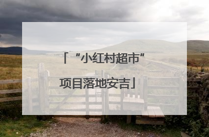 “小红村超市”项目落地安吉