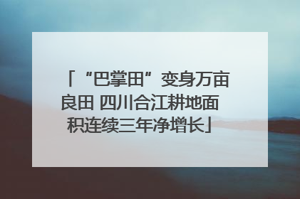 “巴掌田”变身万亩良田 四川合江耕地面积连续三年净增长