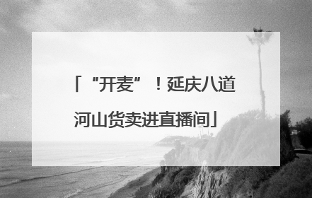 “开麦”！延庆八道河山货卖进直播间