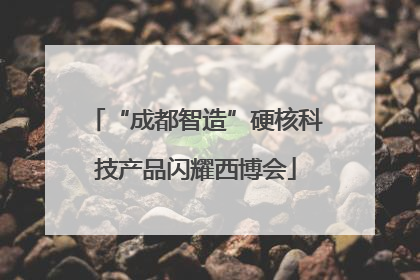 “成都智造”硬核科技产品闪耀西博会