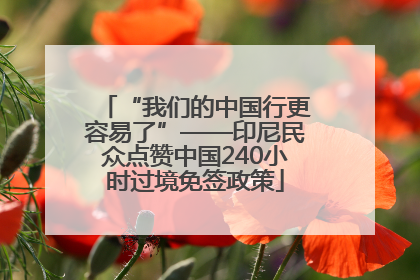 “我们的中国行更容易了”——印尼民众点赞中国240小时过境免签政策