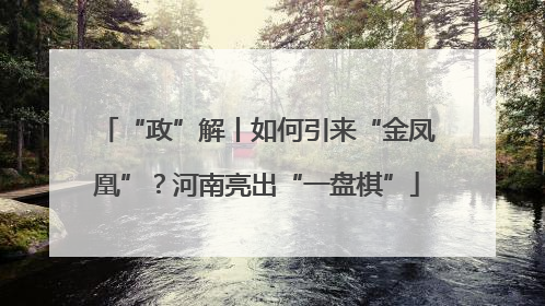“政”解丨如何引来“金凤凰”？河南亮出“一盘棋”