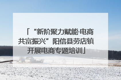 “新阶聚力赋能·电商共富振兴”阳信县劳店镇开展电商专题培训