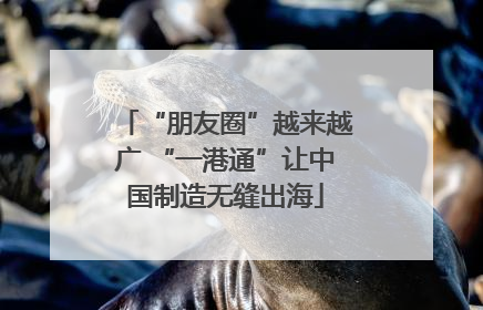 “朋友圈”越来越广 “一港通”让中国制造无缝出海