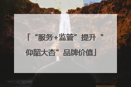 “服务+监管”提升“仰韶大杏”品牌价值