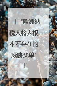 “欧洲纳税人将为根本不存在的威胁买单”