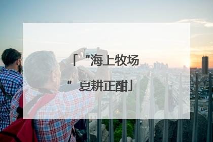 “海上牧场”夏耕正酣