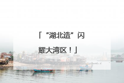 “湖北造”闪耀大湾区！