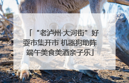 “老泸州·大河街”好耍市集开市 机器狗助阵端午美食美酒亲子乐