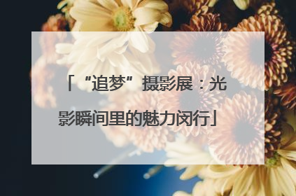 “追梦”摄影展：光影瞬间里的魅力闵行