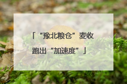 “豫北粮仓”麦收跑出“加速度”